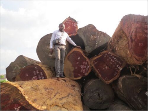Hardwood Logs, Lumber, Sawn Timber, Flooring, Decking Materials