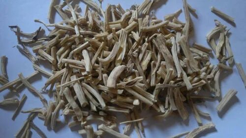 White Shatavari Root, Packaging Size : 50 Kg