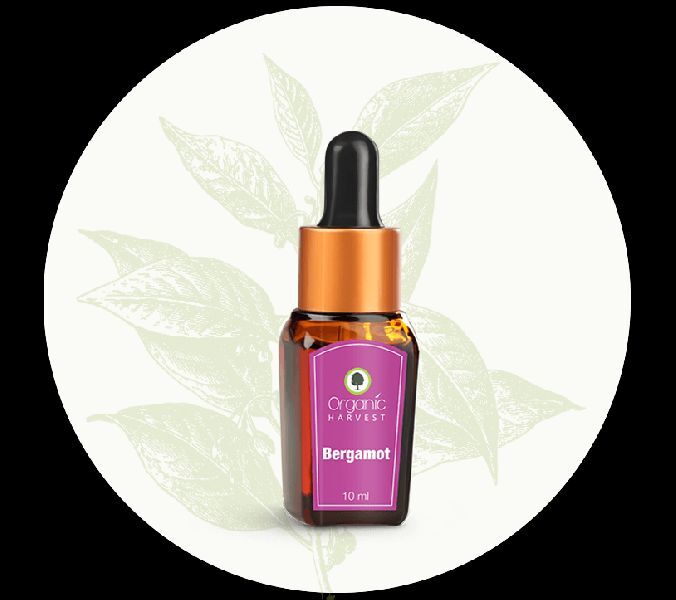 Bergamot Essential Oil (10 ml) - Organic Harvest