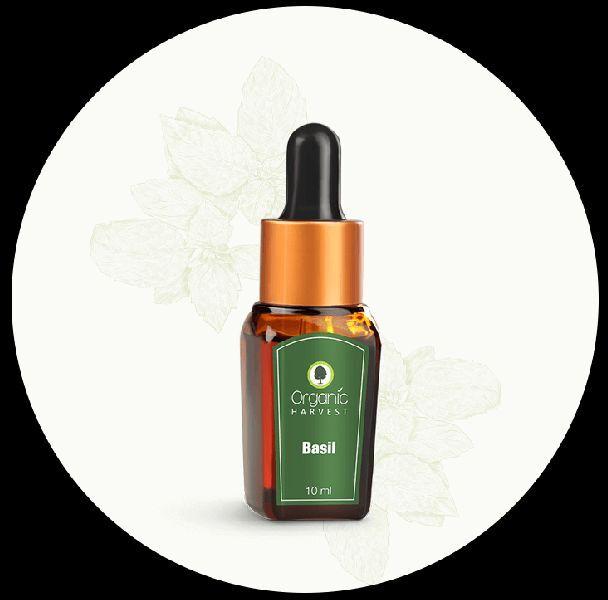 Organic Harvest Basil Oil, Form : Liquid
