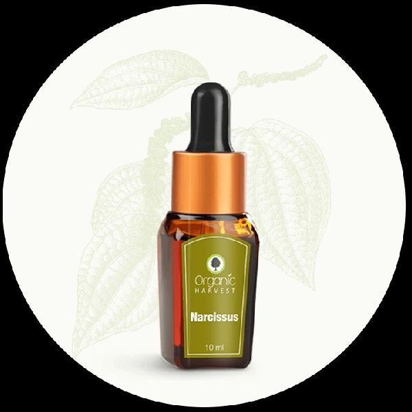 Organic Harvest Narcissus Oil