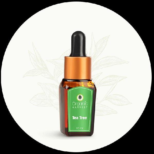 Tea Tree Oil (10 ml) - Organic Harvest