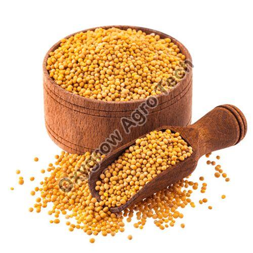 Granules yellow mustard seeds, Packaging Type : Plastic Packet
