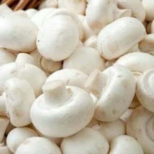 Fresh Button Mushroom, Color : Brown, White