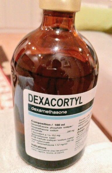 Dexacortyl Veterinary Injection