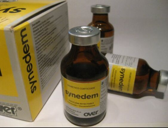 Synedem Injection