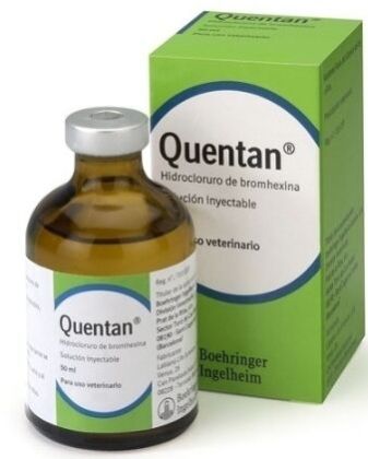 QUENTAN