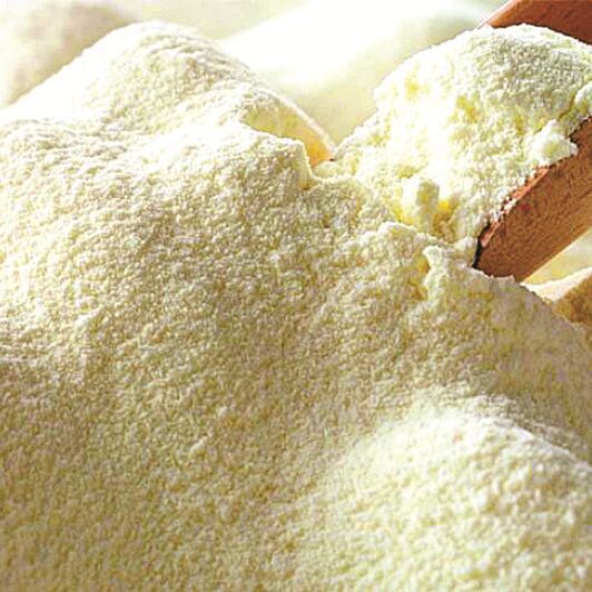 White Creamy Milk Powder