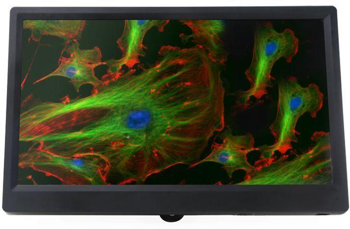 9" HDMI LCD Display For Trinocular Microscope