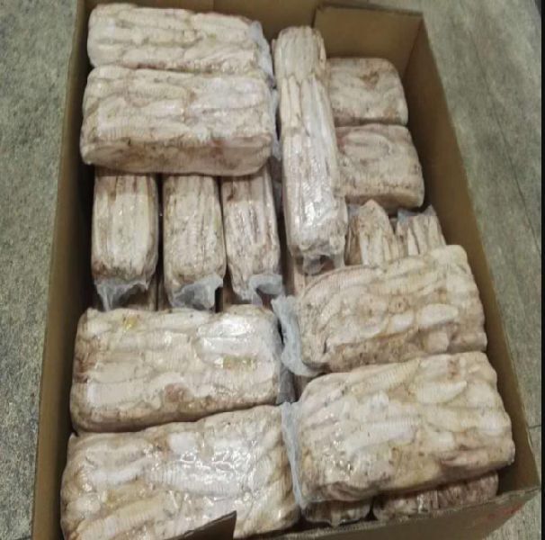 Precooked Bonito Loins 100%loins