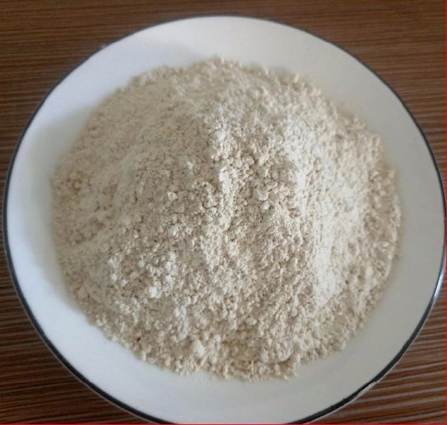 Rice Protein Powder
