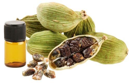 Seeds Leaves cardamom essential oil, Supply Type : OEM / ODM