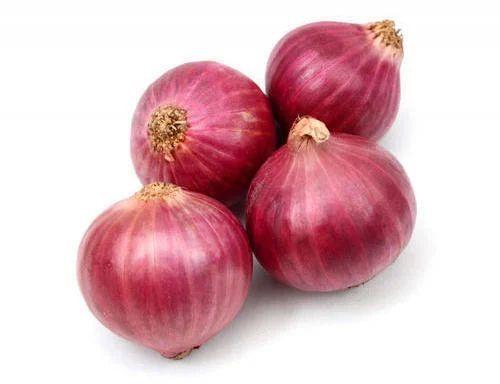 Red Natural Fresh Onion, for Cooking, Packaging Type : Net Bag
