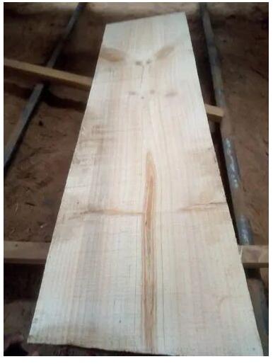 Brown Rectangular Sawn Pine Wood, Size : 10 Feet