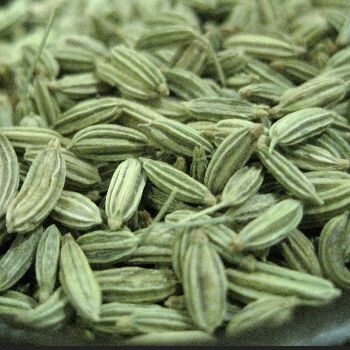 Organic Dried Fennel Seeds, for Food Flavoring, Medicine, Packaging Size : 100ml, 200ml, etc
