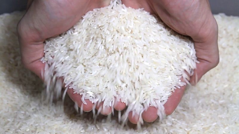 Natural Hard Raw Rice, for Cooking, Human Consumption, Making Snacks, Style : Dried
