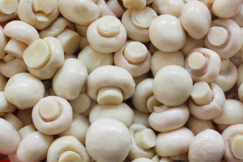 Organic Natural Button Mushroom, for Cooking, Packaging Type : Plastic Bag