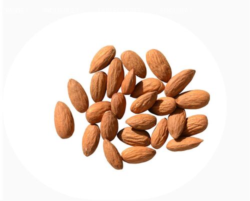 Organic almond nut, Shelf Life : 1year
