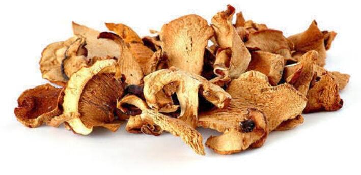 Dried Oyster Mushrooms