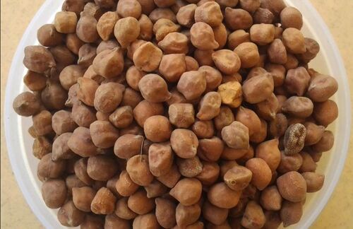 Black Chickpeas