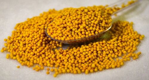 Indian Yellow Mustard Seeds