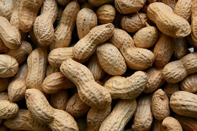 Java Shelled Peanuts