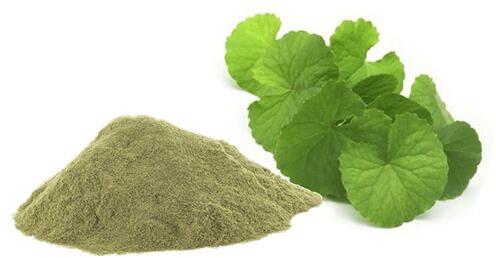 Bacopa Herb Powder