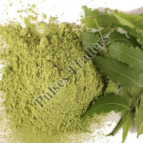 Organic Neem Leaves Powder, for Ayurvedic Medicine, Cosmetic Products, Herbal Medicines, Color : Green