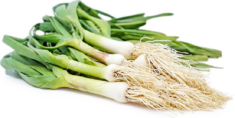 Organic Fresh Green Garlic, for Cooking, Feature : Natural