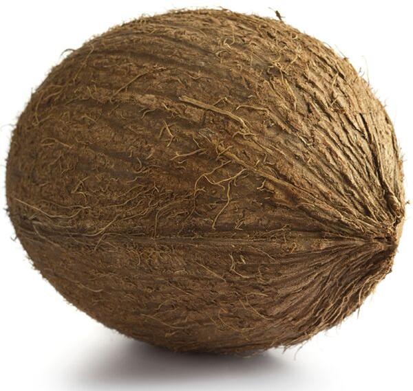 Brown Coconut, for Good health