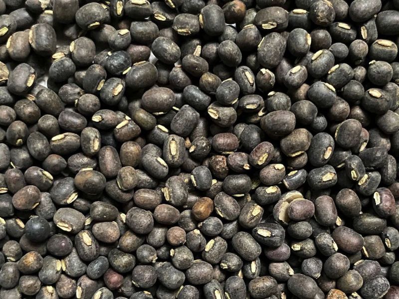 Black Gram Dal, for Cooking, Food Medicine, Form : Granules