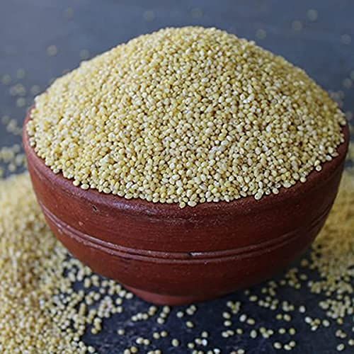 Little Millet, for Cooking, Variety : Dried