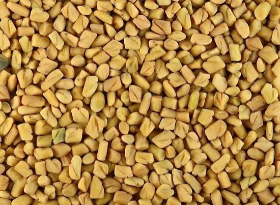 Raw Common Methi Seed, for Cosmetics, Food Medicine, Spices, Cooking, Packaging Type : Plastic Packet