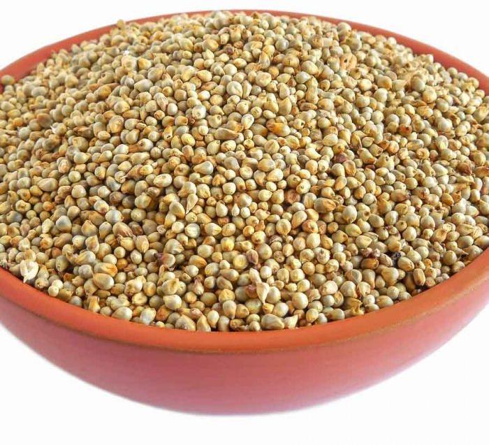 Natural Pearl Millet, for Cooking, Packaging Type : Plastic Bag