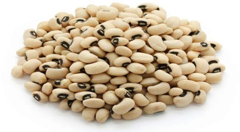 White Cowpea Seed, For Human Consumption, Grade Standard : Food Grade