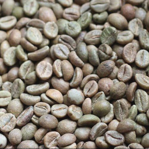 Seeds Organic Robusta Cherry Coffee Beans, Packaging Type : Plastic Pack