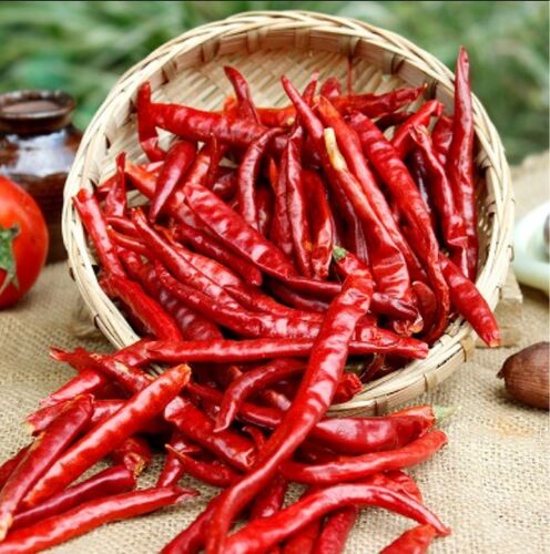 Organic Natural Dried Red Chilli, Length : 6 to 9 cm