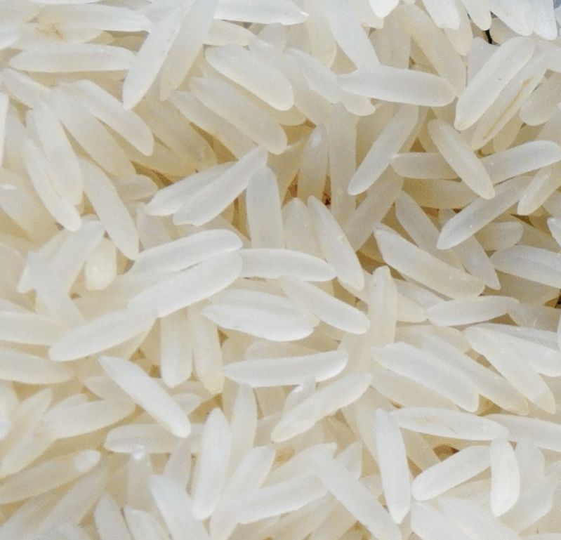 Organic Sharbati Basmati Rice, for Human Consumption, Food, Cooking, Packaging Type : Jute Bags