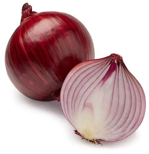Fresh red onion, for Food
