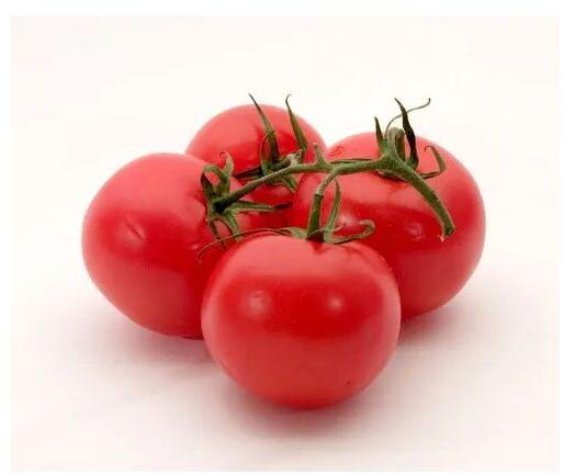 Fresh Red Tomato, Packaging Size : 10kg(Max)