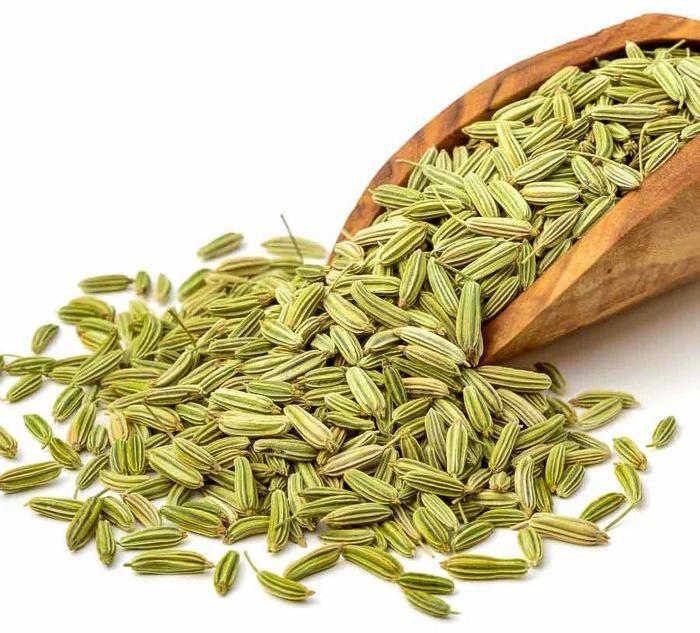 Fennel Seeds, for Spices