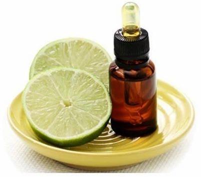 Organic Lime Oil, Packaging Type : Bottle