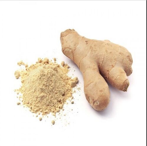 Common Ginger Powder, for Cooking, Packaging Type : Plastic Packet