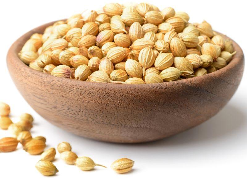Coriander seeds, for Cooking, Spices, Packaging Size : 100gm, 200gm, 250gm