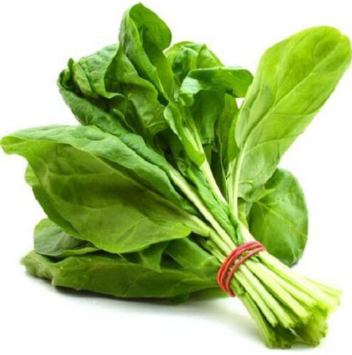 Fresh Spinach, Packaging Type : Net Bag