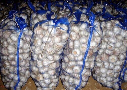 Garlic Mesh Bags, Packaging Type : roll