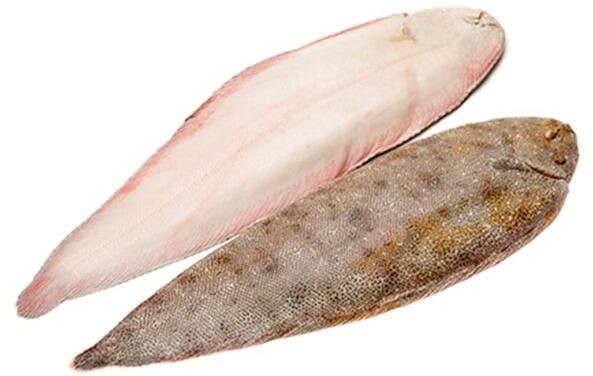 Frozen Sole Fish, for Human Consumption, Making Oil