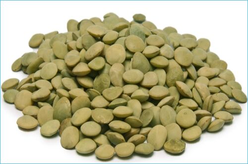 Organic Green Lentils, Shelf Life : 6months