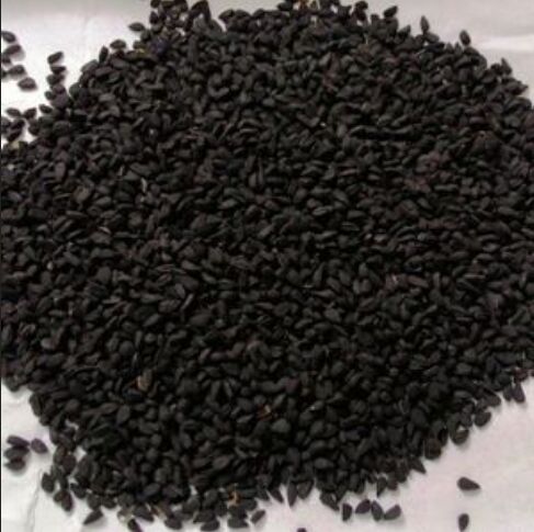 Nigella Seeds, Packaging Type : PP Bag