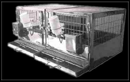 Rabbit Cage Breeding Type & Trolley, for Laboratory Use